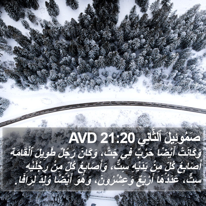 صَمُوئِيلَ ٱلثَّانِي 21:20 AVD Bible Study