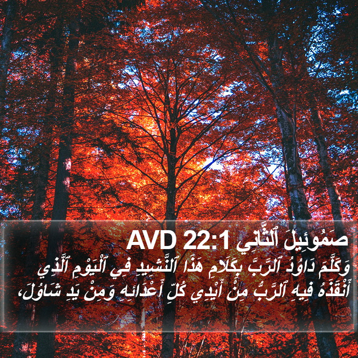صَمُوئِيلَ ٱلثَّانِي 22:1 AVD Bible Study