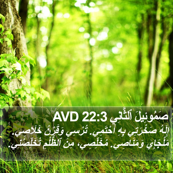 صَمُوئِيلَ ٱلثَّانِي 22:3 AVD Bible Study