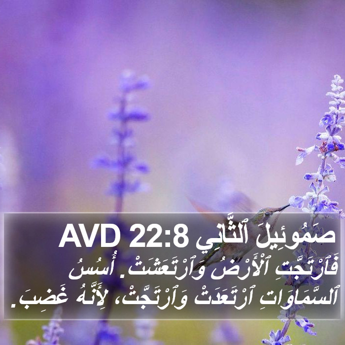 صَمُوئِيلَ ٱلثَّانِي 22:8 AVD Bible Study