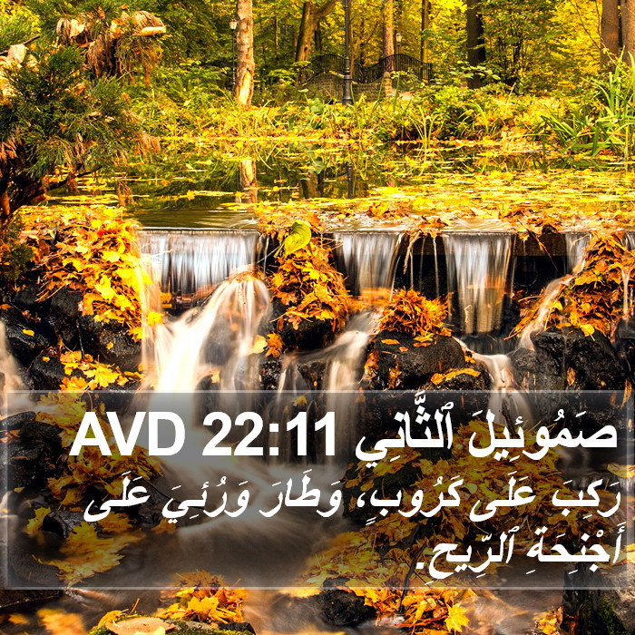 صَمُوئِيلَ ٱلثَّانِي 22:11 AVD Bible Study