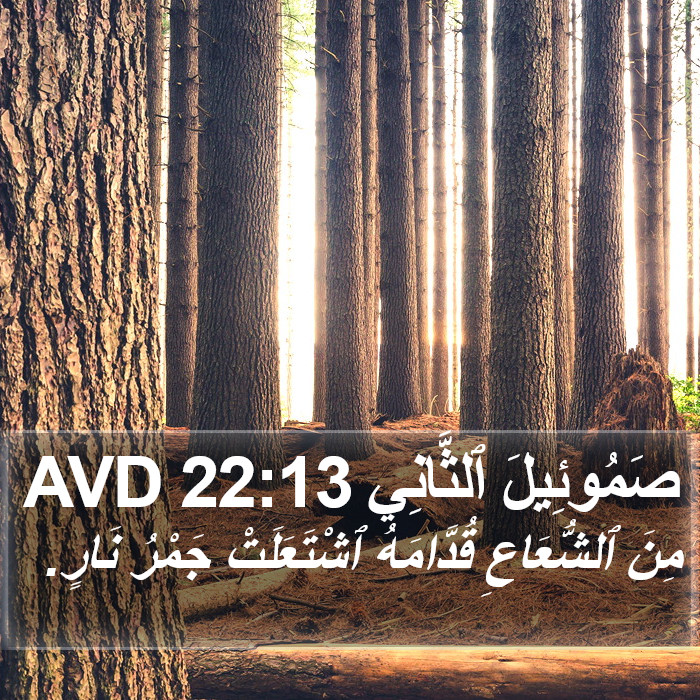 صَمُوئِيلَ ٱلثَّانِي 22:13 AVD Bible Study