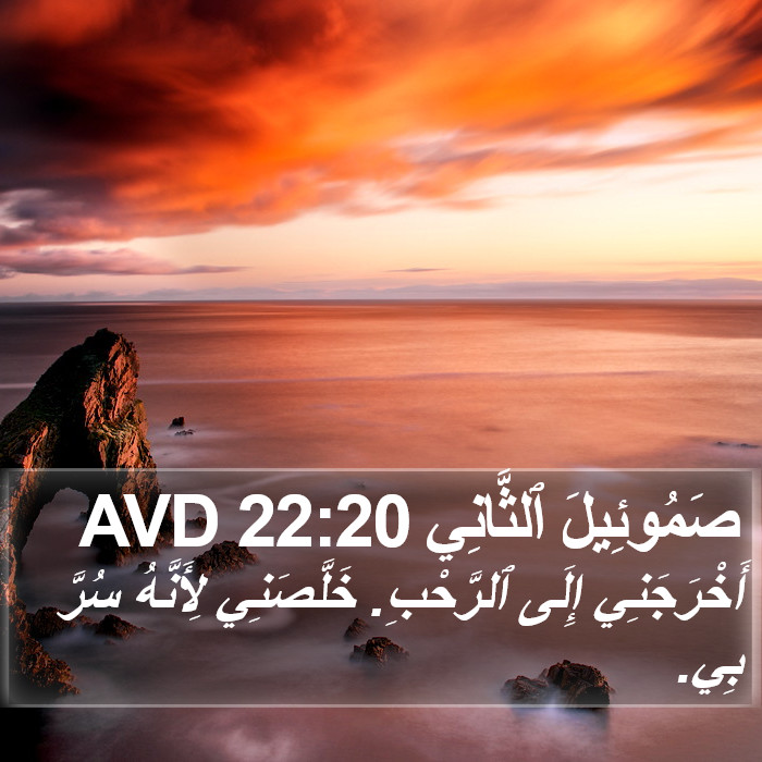 صَمُوئِيلَ ٱلثَّانِي 22:20 AVD Bible Study