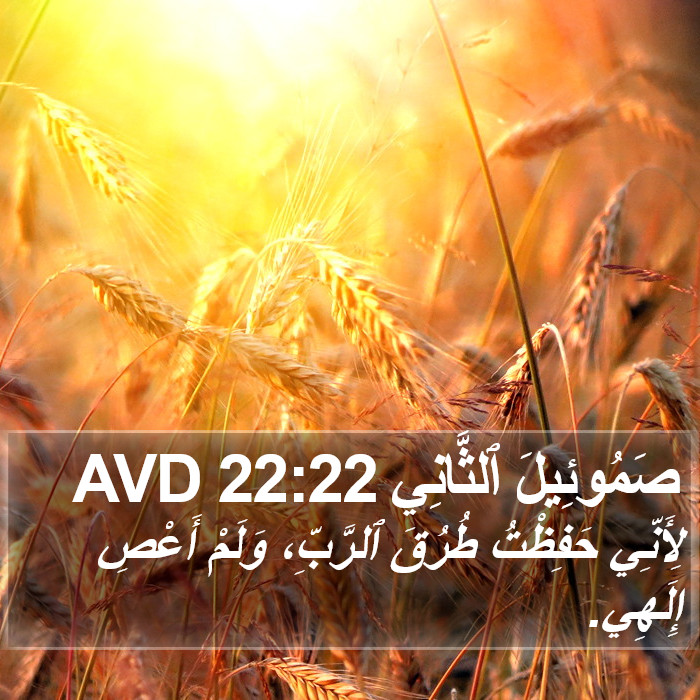 صَمُوئِيلَ ٱلثَّانِي 22:22 AVD Bible Study