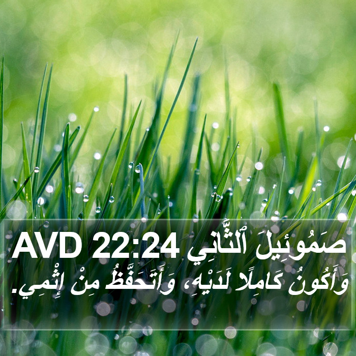 صَمُوئِيلَ ٱلثَّانِي 22:24 AVD Bible Study
