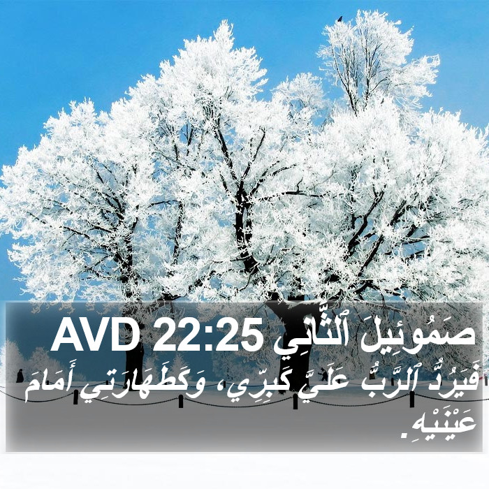 صَمُوئِيلَ ٱلثَّانِي 22:25 AVD Bible Study