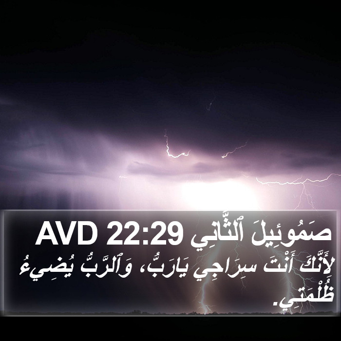 صَمُوئِيلَ ٱلثَّانِي 22:29 AVD Bible Study