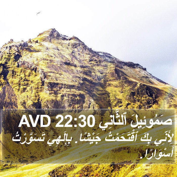 صَمُوئِيلَ ٱلثَّانِي 22:30 AVD Bible Study