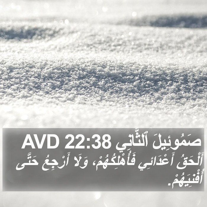 صَمُوئِيلَ ٱلثَّانِي 22:38 AVD Bible Study