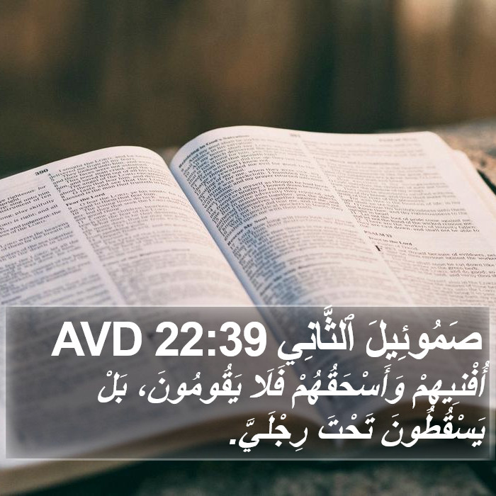 صَمُوئِيلَ ٱلثَّانِي 22:39 AVD Bible Study