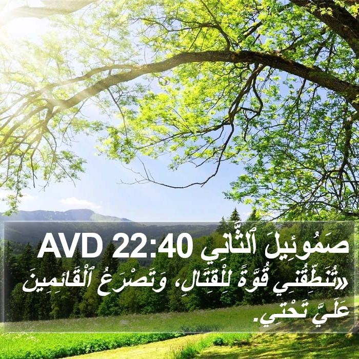 صَمُوئِيلَ ٱلثَّانِي 22:40 AVD Bible Study