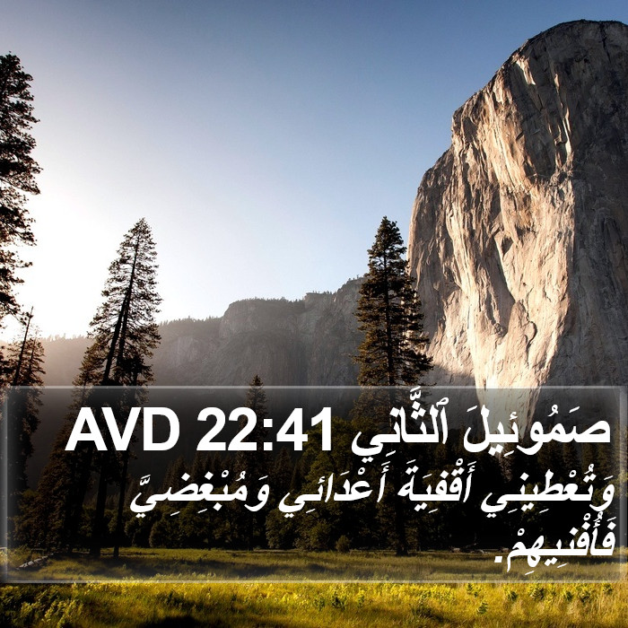صَمُوئِيلَ ٱلثَّانِي 22:41 AVD Bible Study