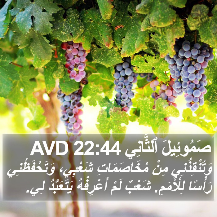 صَمُوئِيلَ ٱلثَّانِي 22:44 AVD Bible Study