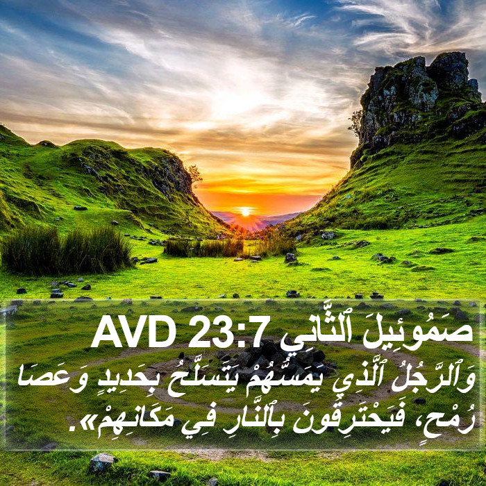 صَمُوئِيلَ ٱلثَّانِي 23:7 AVD Bible Study