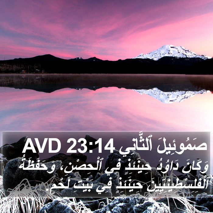 صَمُوئِيلَ ٱلثَّانِي 23:14 AVD Bible Study