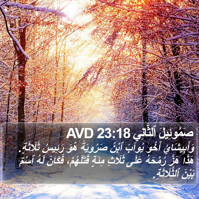 صَمُوئِيلَ ٱلثَّانِي 23:18 AVD Bible Study