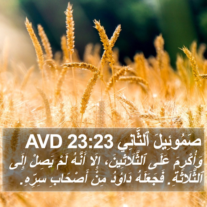 صَمُوئِيلَ ٱلثَّانِي 23:23 AVD Bible Study