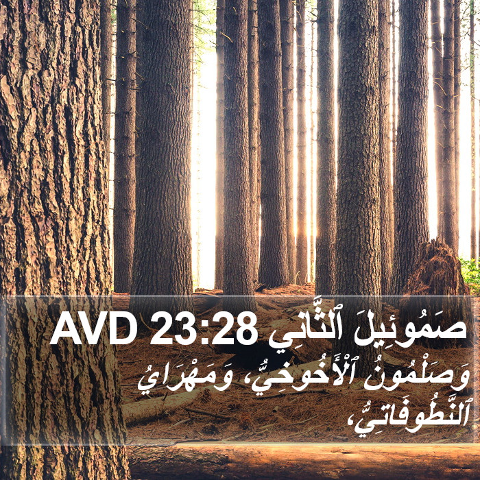 صَمُوئِيلَ ٱلثَّانِي 23:28 AVD Bible Study