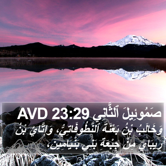 صَمُوئِيلَ ٱلثَّانِي 23:29 AVD Bible Study