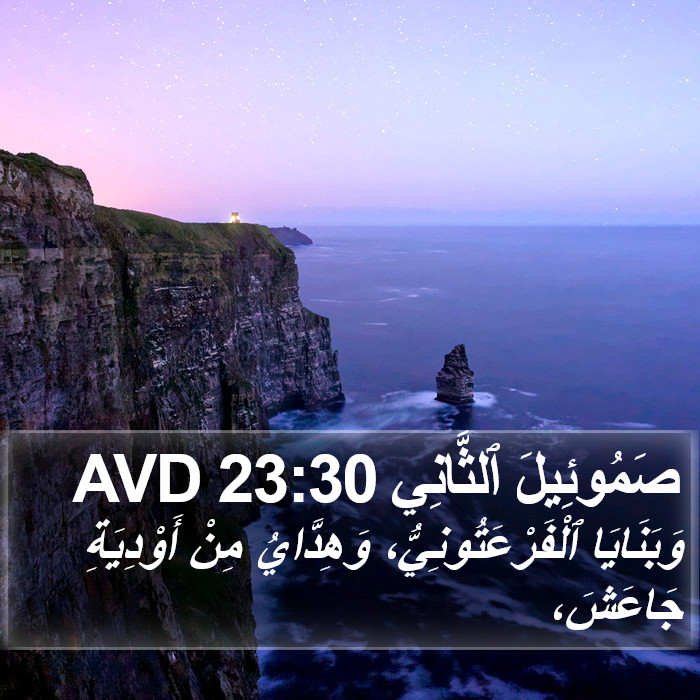 صَمُوئِيلَ ٱلثَّانِي 23:30 AVD Bible Study