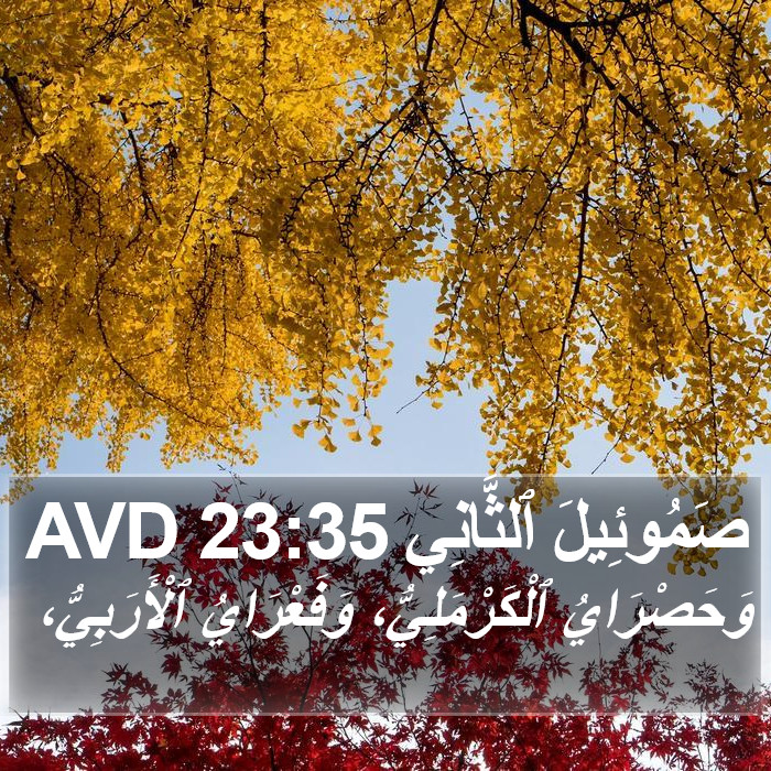 صَمُوئِيلَ ٱلثَّانِي 23:35 AVD Bible Study