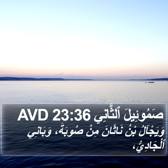 صَمُوئِيلَ ٱلثَّانِي 23:36 AVD Bible Study