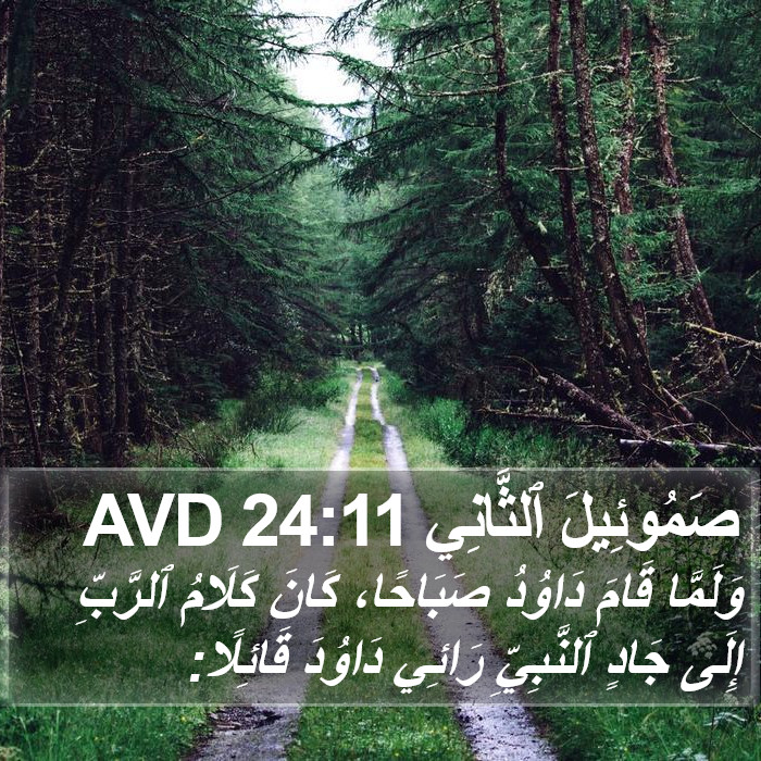 صَمُوئِيلَ ٱلثَّانِي 24:11 AVD Bible Study