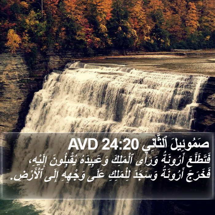 صَمُوئِيلَ ٱلثَّانِي 24:20 AVD Bible Study