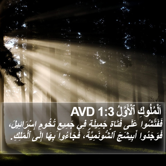 اَلْمُلُوكِ ٱلْأَوَّلُ 1:3 AVD Bible Study