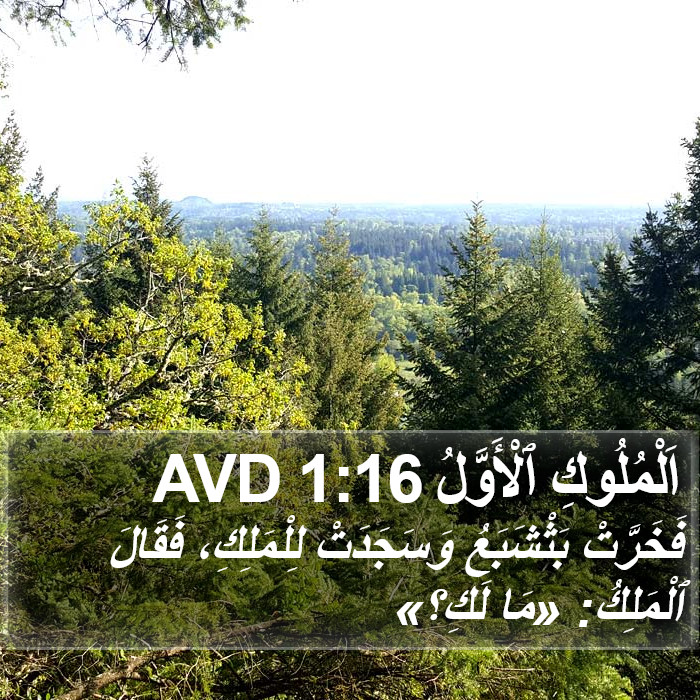 اَلْمُلُوكِ ٱلْأَوَّلُ 1:16 AVD Bible Study