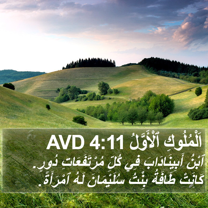 اَلْمُلُوكِ ٱلْأَوَّلُ 4:11 AVD Bible Study