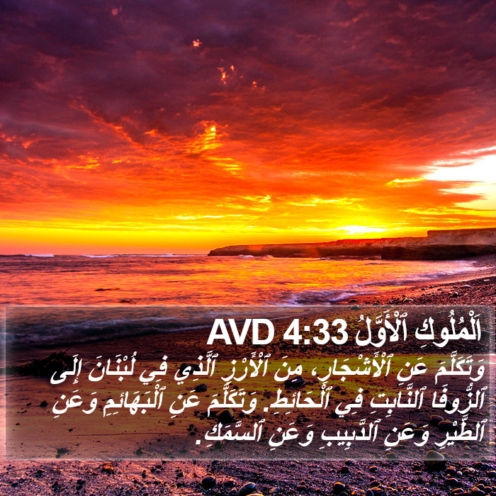 اَلْمُلُوكِ ٱلْأَوَّلُ 4:33 AVD Bible Study