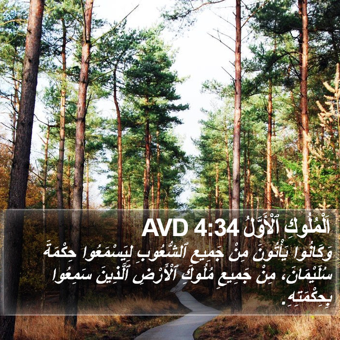 اَلْمُلُوكِ ٱلْأَوَّلُ 4:34 AVD Bible Study