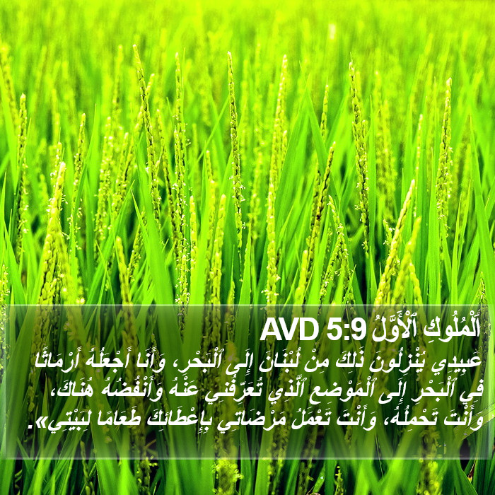 اَلْمُلُوكِ ٱلْأَوَّلُ 5:9 AVD Bible Study