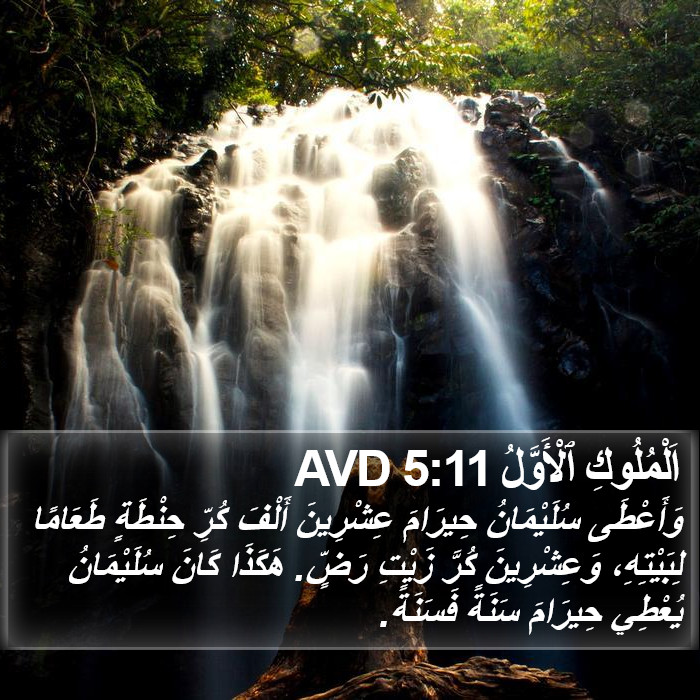 اَلْمُلُوكِ ٱلْأَوَّلُ 5:11 AVD Bible Study