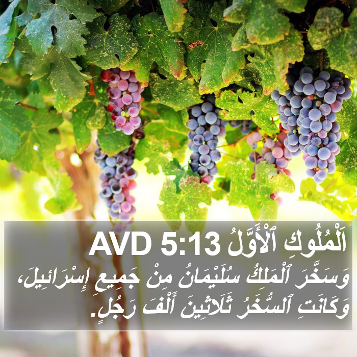 اَلْمُلُوكِ ٱلْأَوَّلُ 5:13 AVD Bible Study