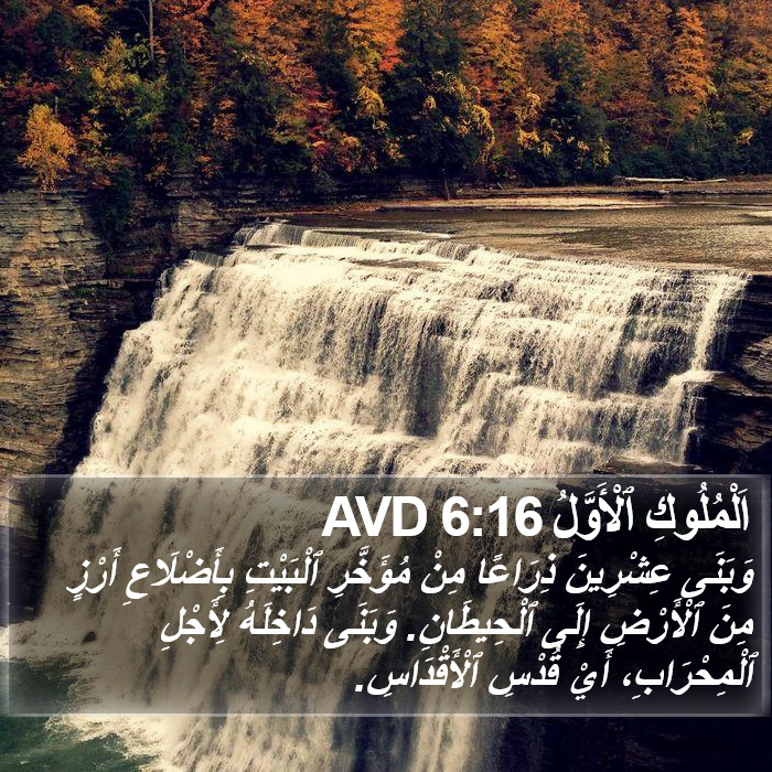 اَلْمُلُوكِ ٱلْأَوَّلُ 6:16 AVD Bible Study