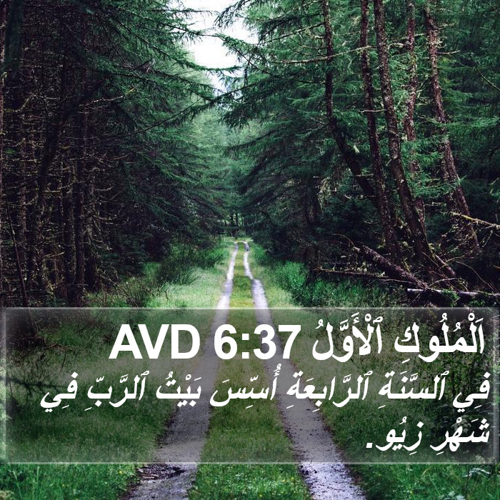اَلْمُلُوكِ ٱلْأَوَّلُ 6:37 AVD Bible Study