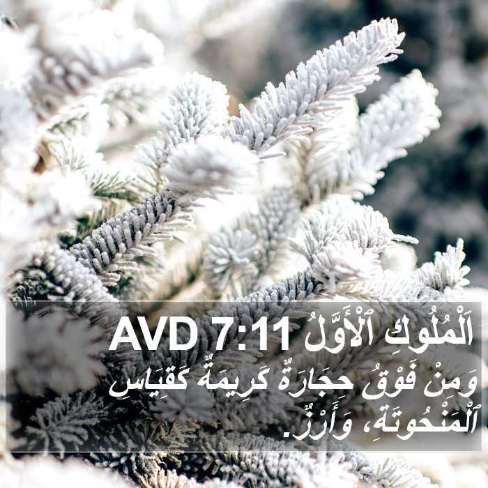 اَلْمُلُوكِ ٱلْأَوَّلُ 7:11 AVD Bible Study