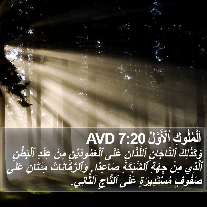 اَلْمُلُوكِ ٱلْأَوَّلُ 7:20 AVD Bible Study