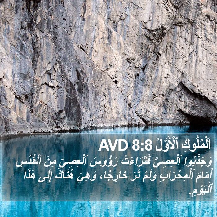 اَلْمُلُوكِ ٱلْأَوَّلُ 8:8 AVD Bible Study