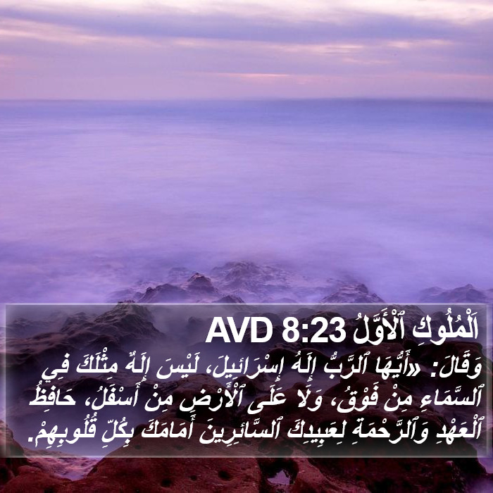 اَلْمُلُوكِ ٱلْأَوَّلُ 8:23 AVD Bible Study