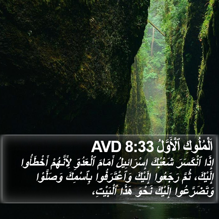 اَلْمُلُوكِ ٱلْأَوَّلُ 8:33 AVD Bible Study