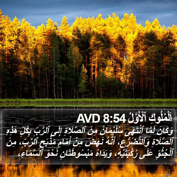 اَلْمُلُوكِ ٱلْأَوَّلُ 8:54 AVD Bible Study