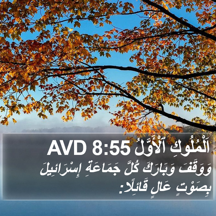 اَلْمُلُوكِ ٱلْأَوَّلُ 8:55 AVD Bible Study