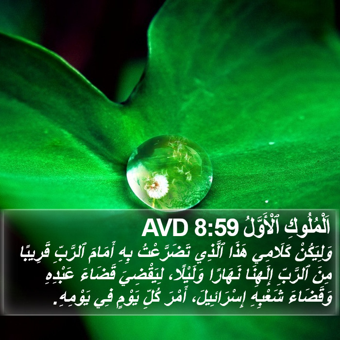 اَلْمُلُوكِ ٱلْأَوَّلُ 8:59 AVD Bible Study