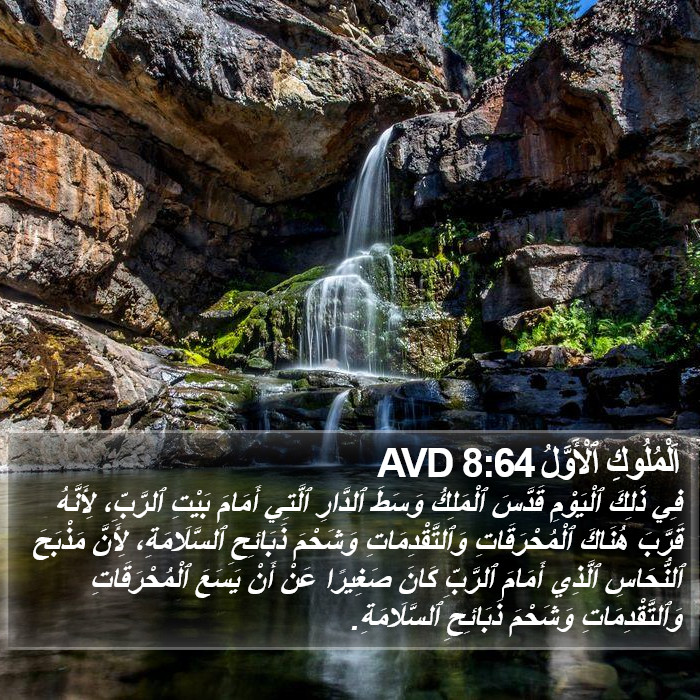 اَلْمُلُوكِ ٱلْأَوَّلُ 8:64 AVD Bible Study
