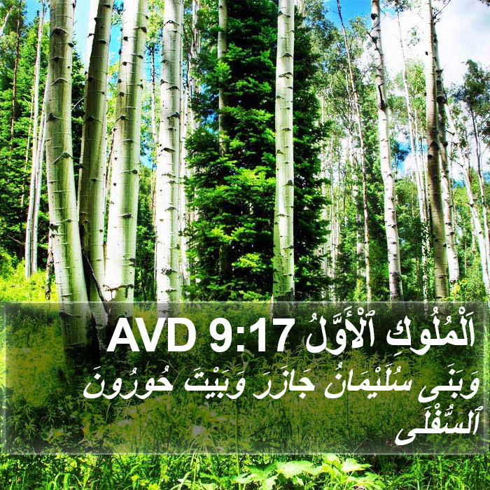 اَلْمُلُوكِ ٱلْأَوَّلُ 9:17 AVD Bible Study