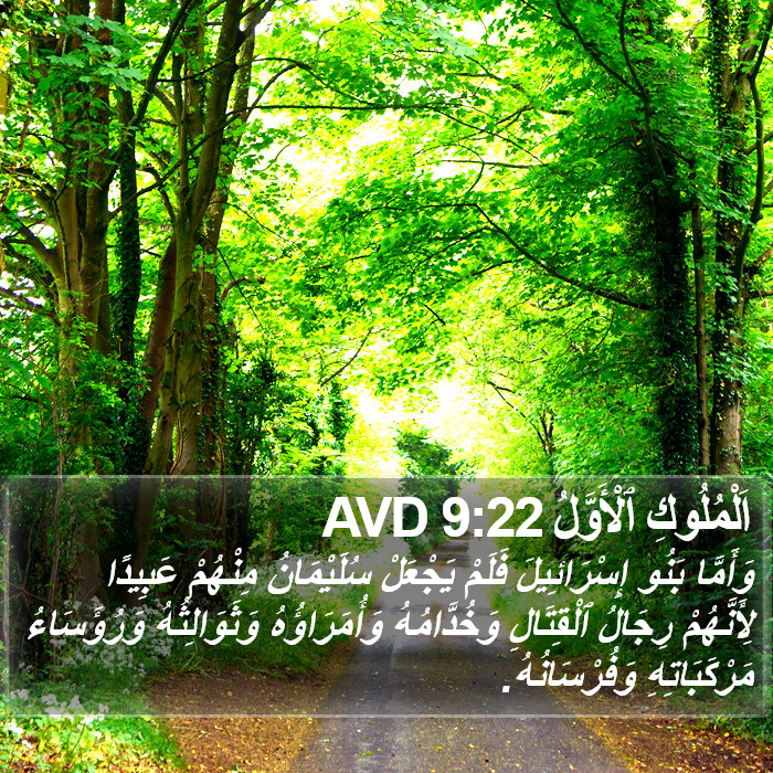 اَلْمُلُوكِ ٱلْأَوَّلُ 9:22 AVD Bible Study