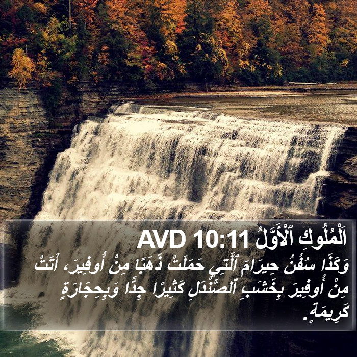 اَلْمُلُوكِ ٱلْأَوَّلُ 10:11 AVD Bible Study
